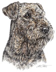 Airedale Terrier - K2