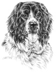 Landseer-T49