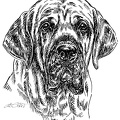 Fila Brasileiro - S77