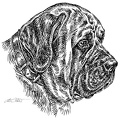 Mastiff - S121