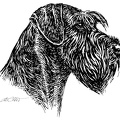 Riesenschnauzer - Giant Schnauzer - S202