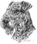 Airedailterrier - S5