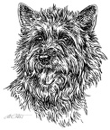 Terrier - Terriers