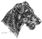 Deutscher Jagdterrier - German Hunting Terrier -S60