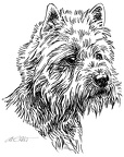 West Highland Terrier - S164