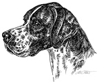Pointer - S128