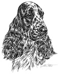 Cocker Spaniel - S40