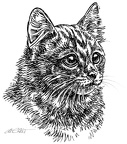 Katze2-S175