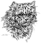 Katze - S180