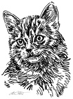 Katze - S178