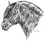 Pferd - Horse - S181